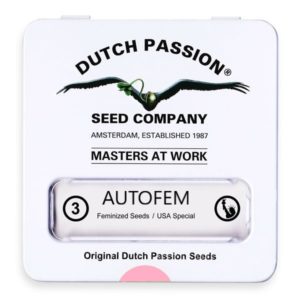 Graine de collection dutch passion x3 autoflo