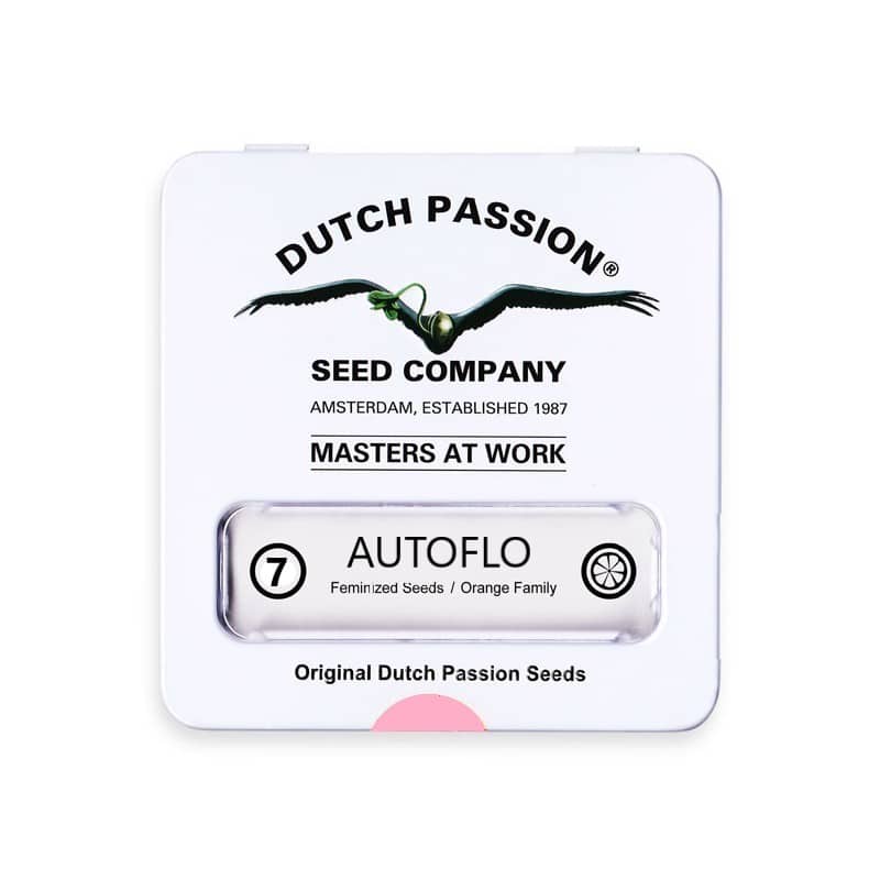 DUTCH PASSION X7 (AUTOFLO)