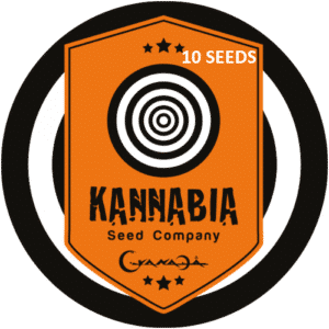 Graine de cannabis Kannabia X10