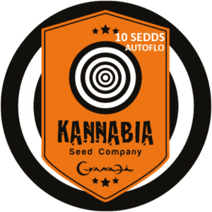 Graine de cannabis Kannabia X10 Autoflo