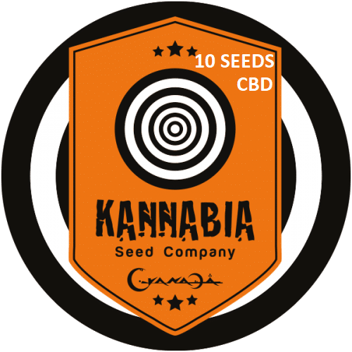 Graine de cannabis Kannabia X10 CBD
