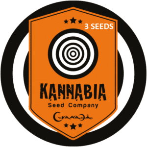 Graine de cannabis Kannabia X3