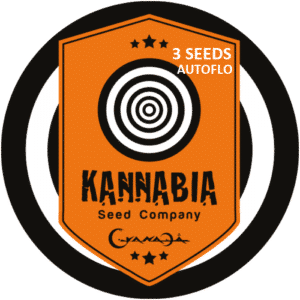 Graine de cannabis Kannabia X3 Autoflo