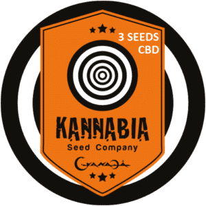 Graine de cannabis Kannabia X3 CBD