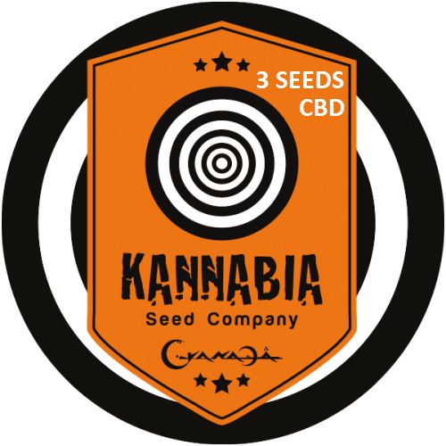 Graine de cannabis Kannabia X3 CBD