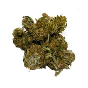 CBD BLUE DREAM WEED SEEDS LUXE