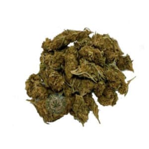CBD BLUEBERRY WEED SEEDS LUXE