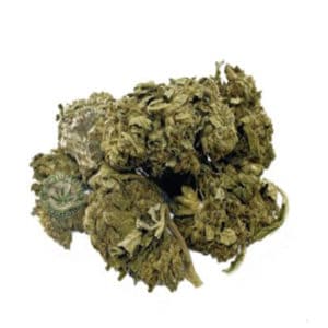 CBD CHEESE WEED SEEDS LUXE