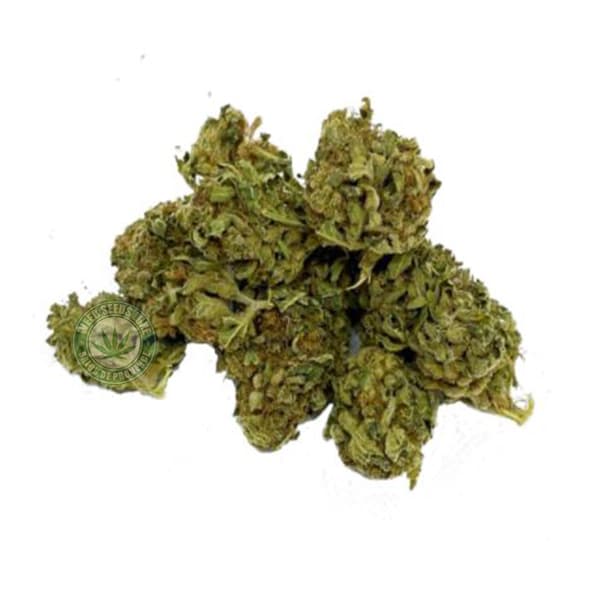 CBD DYNAMITE WEED SEEDS LUXE
