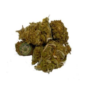 CBD TERRATONIC WEED SEEDS LUXE