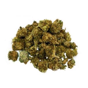 CBD YUMMI WEED SEEDS LUXE