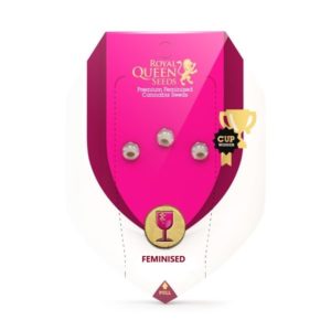 ROYAL QUEEN SEEDS X 3 (FÉMINISÉE)