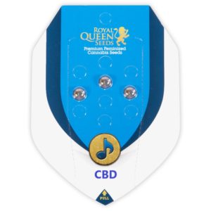 ROYAL QUEEN SEEDS X 3 (CBD))