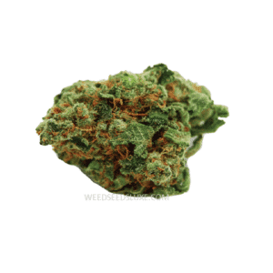 CBD HARLEQUIN GREENHOUSE 100gr