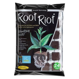 Cubes de germination Root Riot