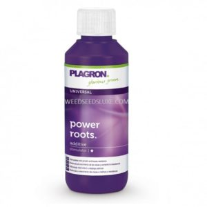 power roots PLAGRON