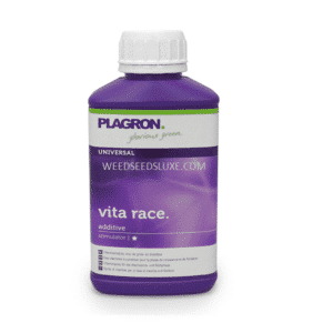 vita race PLAGRON