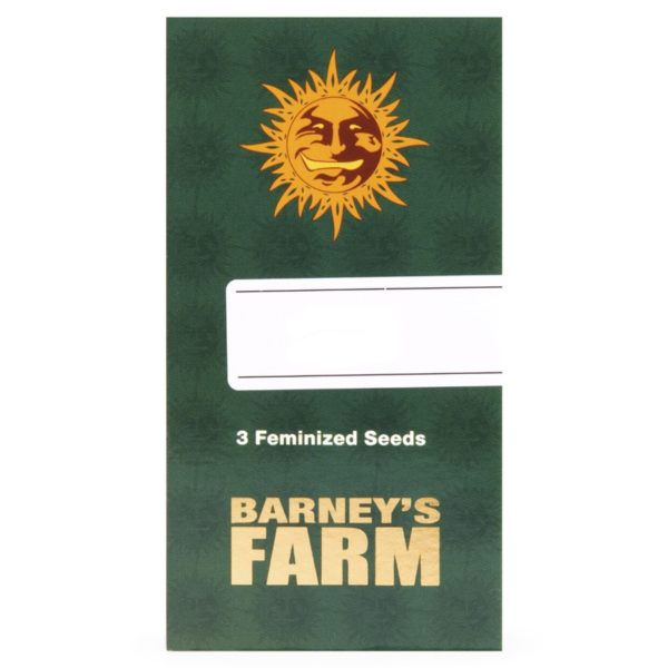 BARNEY'S FARM X3 (FÉMINISÉE)