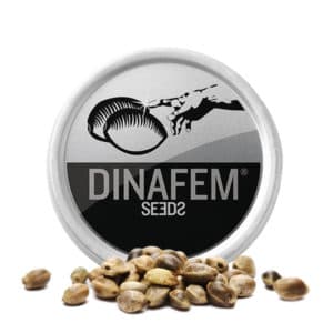 DINAFEM X10