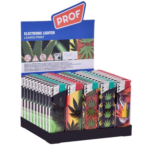 Briquet "Feuilles de Canna"