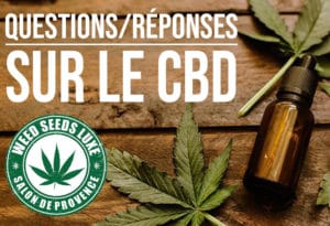 Questions Réponses autour du CBD