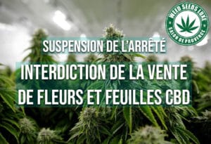 Suspension de l'arrêté interdisant la vente de fleur CBD