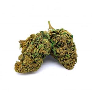 HHCPO Bruce Banner 40%