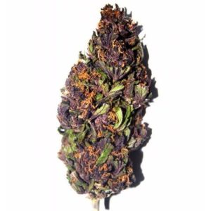 CBD La Purple