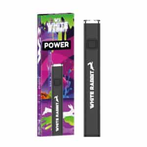 Power Batterie E510 White Rabbit