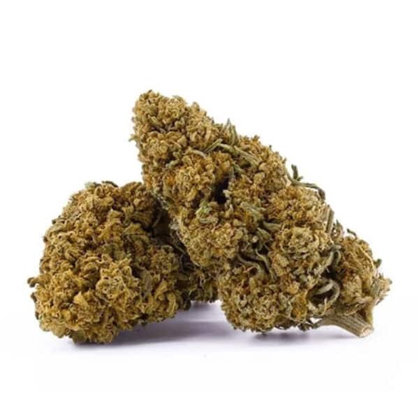 Golden Haze THCP 20%