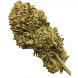 CBD OG Kush 100gr