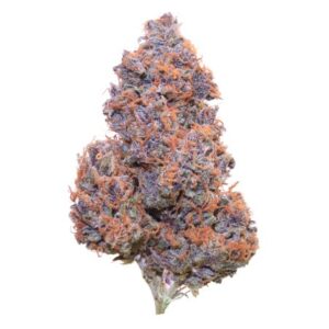 CBD Purple Panther