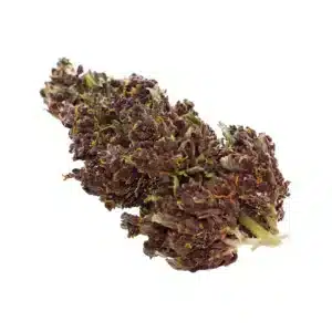 CBD Purple Haze 100gr