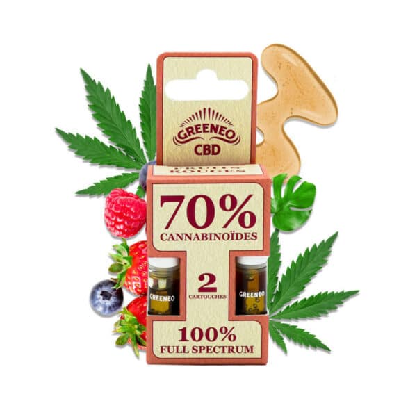 Cartouches CBD Pen Stick 70% Fruits Rouges