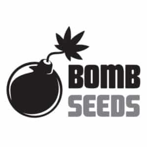 Bomb Seeds (x5)