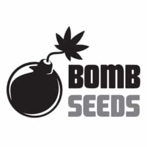 Bomb Seeds (x10)