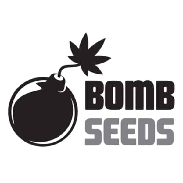 Bomb Seeds (x10)