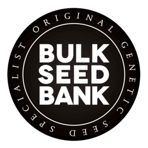 Bulk Seeds Bank x1000