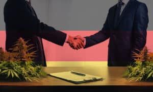 Accord 2024 sur le Cannabis Récréatif en Allemagne