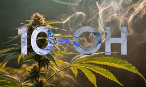 Le 10-OH, la nouvelle molécule HHC