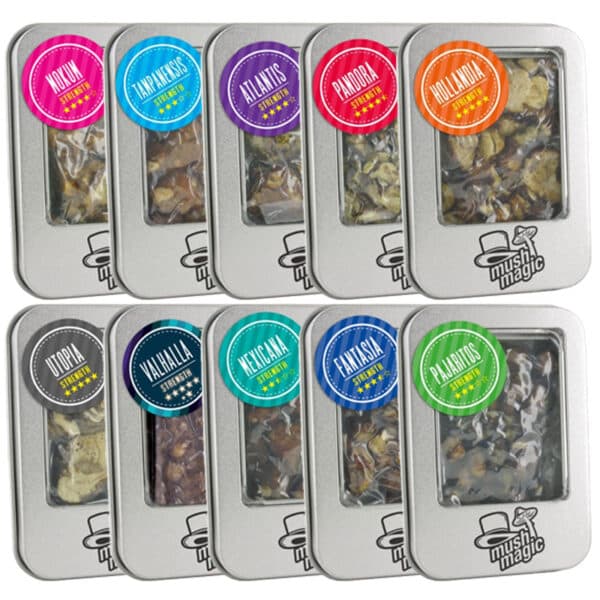 Truffes Magique Mush Magic