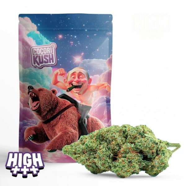 Poutine Haze HEC-10 Cocori Kush