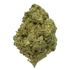 Gorilla Glue STV10 25%