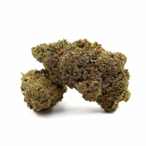 Girl Scout Cookie STV10 40%